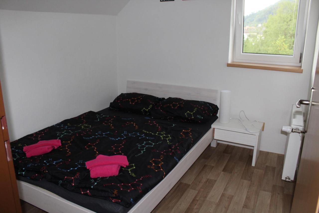 Apartman Rapotin, Jesenicka 296, 3Km Od Termalniho Parku Velke Losiny 외부 사진